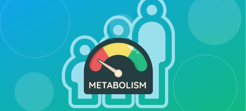 BMR and Aging: The Truth About Your Changing Metabolic Rate
