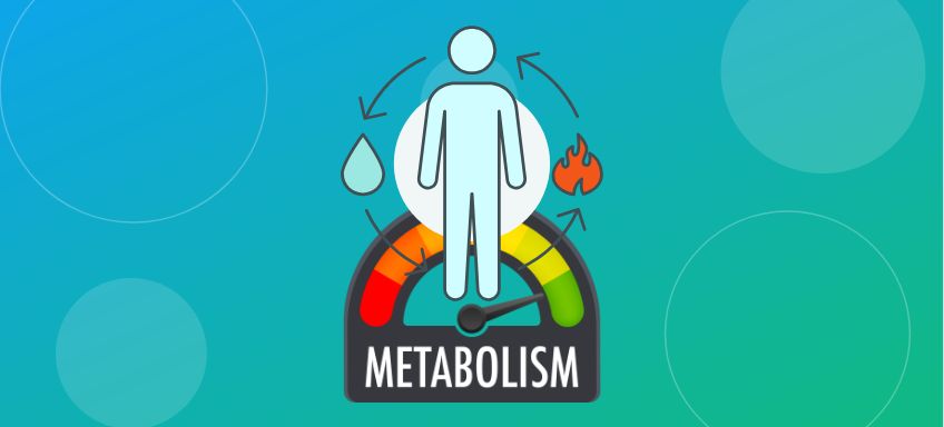 BMR Equation Accuracy Comparison: Which Formula Predicts Your Metabolism Best?
