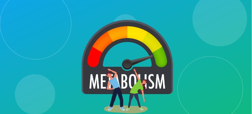 Exercises to Boost Metabolism: The Science-Backed Guide to Maximizing Your Metabolic Rate