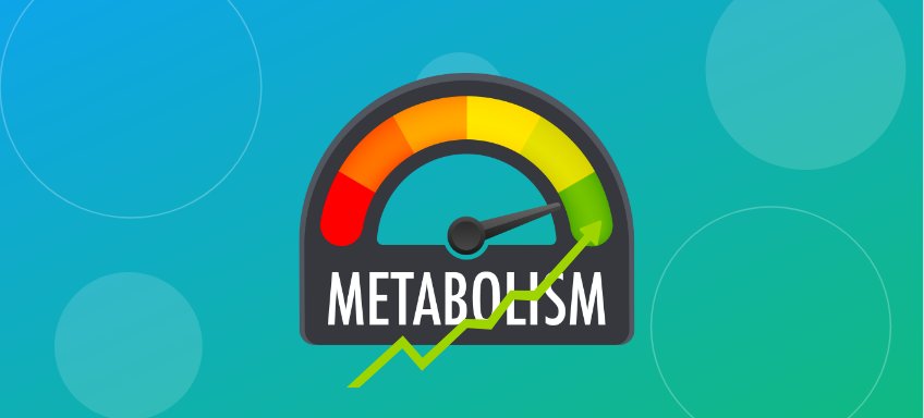 How to Increase BMR Naturally: Science-Based Strategies for Long-Term Success