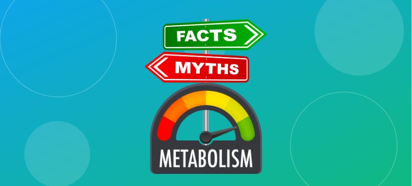 Metabolism Myths Debunked: What Science Really Says About Your Metabolic Rate